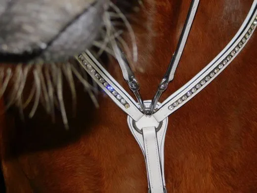 Show Vorderzeug Snow Wei� Strass Lastik LEDER weich VB WB X-Full