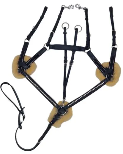 5 Punkt Glitzer Strass Vorderzeug Halla Strass Elastik LEDER weich Pony VB WB X-Full Schwarz