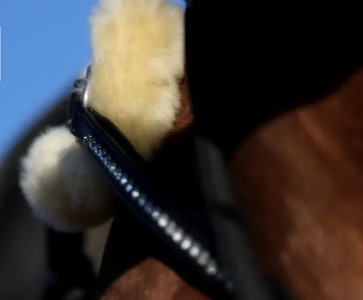 5 Punkt Glitzer Strass Vorderzeug Halla Strass Elastik LEDER weich Pony VB WB X-Full Schwarz