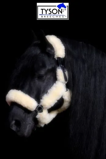 Lederhalfter Lammfell Duana komplett abnehmbar. WB 1 X da