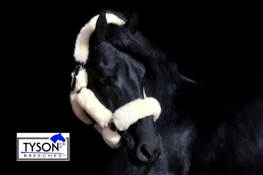 Lederhalfter Lammfell Duana komplett abnehmbar. WB 1 X da