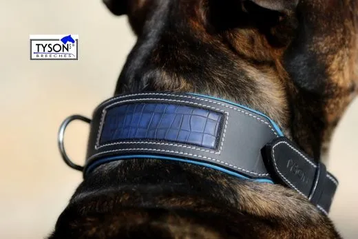 Lederhalsband CLOUD Blau Rot unterlegt Kroko Optik eingefasst M XL BREITv Halsband Leder