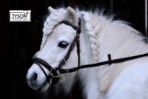 Trense Flori Vegan Kunstleder Schwarz Braun Minishetty Shetty Stickerei