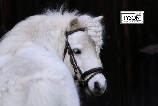 Trense Flori Vegan Kunstleder Schwarz Braun Minishetty Shetty Stickerei