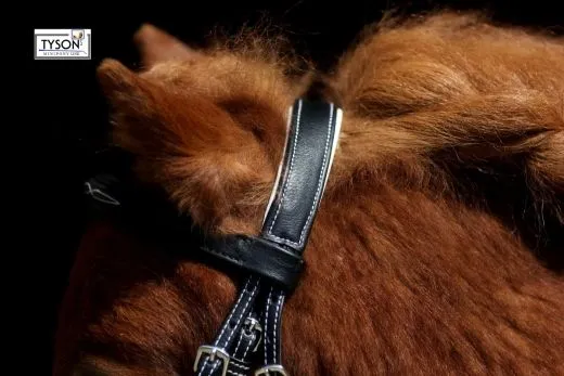 Trense Flori Vegan Kunstleder Schwarz Braun Minishetty Shetty Stickerei