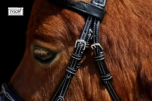 Trense Flori Vegan Kunstleder Schwarz Braun Minishetty Shetty Stickerei