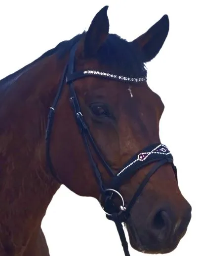 Black Pearl Multi Trense geteiltes Genick Schwarz Butterweich VB WB X Full Noriker Kaltblut Glitzer Strass