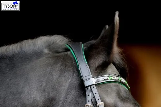 Trense Smaragt Gr�n Lack Glitzer / weiches Leder VB REST RAUS Zaum Reitzaum + Z�gel REST RAUS NUR VB