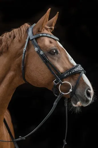 White Black PEARL Nacken Patches Leder Butterweich Strass Glitzer Kristall VB WB X Full