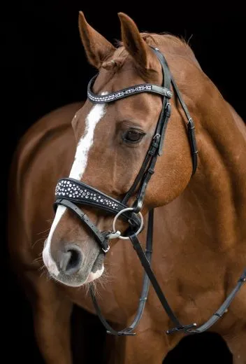 White Black PEARL Nacken Patches Leder Butterweich Strass Glitzer Kristall VB WB X Full