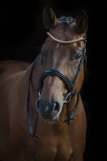 Relax Rosegold PUR Genick Patches Sperriemen abnehmbar Schwarz Lack Glitzer Strass P VB WB X FULL