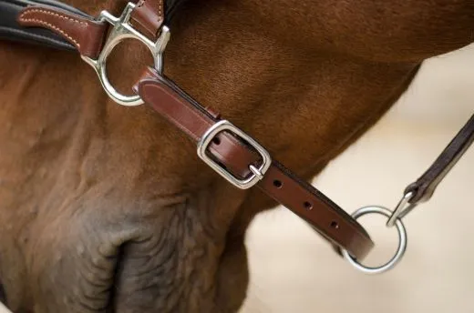 Lederhalfter DON Schwarz Braun o. Cognac ergonomisch geformt super weich VB WB XF Leder Halfter