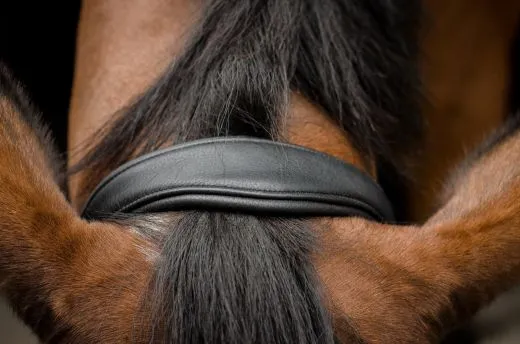 Lederhalfter DON Schwarz Braun o Cognac ergonomisch geformt super weich VB WB XF super weich