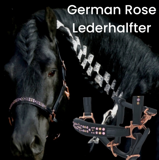Lederhalfter German Rose Schwarz BUTTERWEICH Rosegold VB WB X Full Svarowski Halfter Leder Rosegold