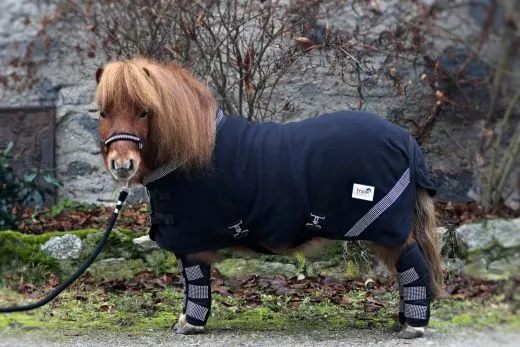 Abschwitzdecke SET ZOE Transportgamaschen Halfter Strick SET Schwarz Rosa Rot Glitzer 70 80 90 100 cm