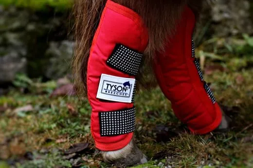 Abschwitzdecke SET ZOE Transportgamaschen Halfter Strick SET Schwarz Rosa Rot Glitzer 70 80 90 100 cm