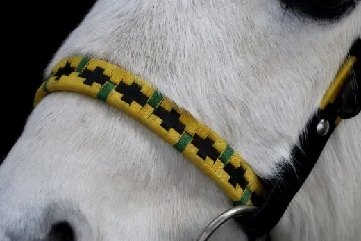 Western Trense JOE Minishetty Shetty + Z�gel, offen Leder Schwarz Westerntrense