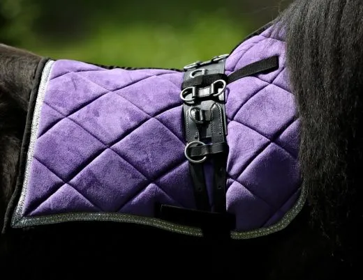 Cosima Barock Set Schabracke + Show Gamaschen Minishetty Shetty Rot Lila Wollwei� = B- WARE