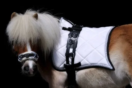 Cosima Barock Set Schabracke + Show Gamaschen Minishetty Shetty Rot Lila Wollwei� = B- WARE