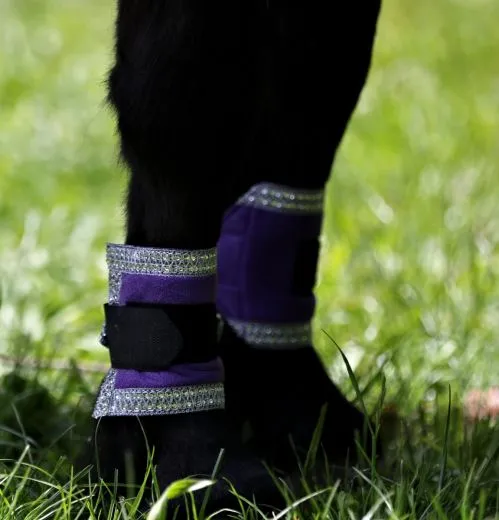 Cosima Barock Set Schabracke + Show Gamaschen Minishetty Shetty Rot Lila Wollwei� = B- WARE