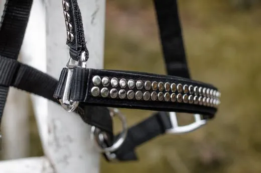 Halfter Lennox Nylon Schwarz Nieten Nylon Pony VB WB X Full Schwarz Nietenhalfter Silber -oder Goldfarben