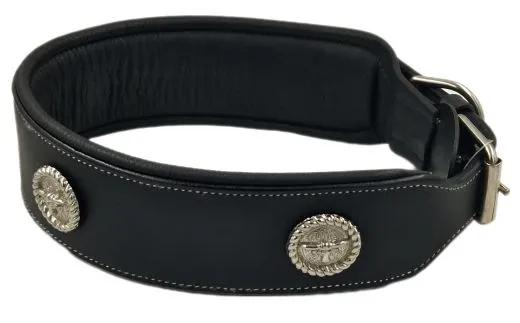 Lederhalsband Zorro Schwarz Conchos fest gen�ht M L XL BREIT ! Leder Halsband Hundhalsband
