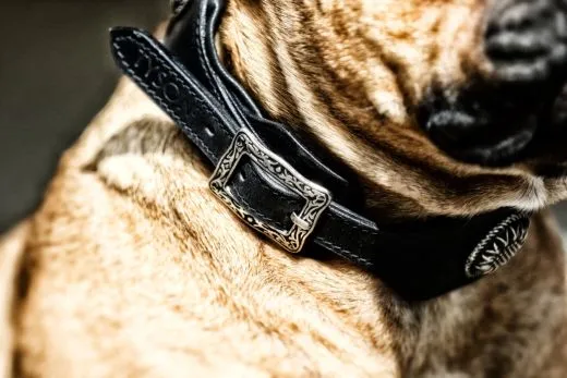 Lederhalsband Antique Blume Chonchos Zier Schnalle Breit M L XL Halsband Leder