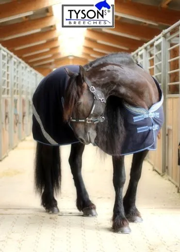 Anti Pilling Fleece  Warakass EINZELST�CK Blau GLITZER Paradedecke 155 REST RAUS Abschwitzdecke