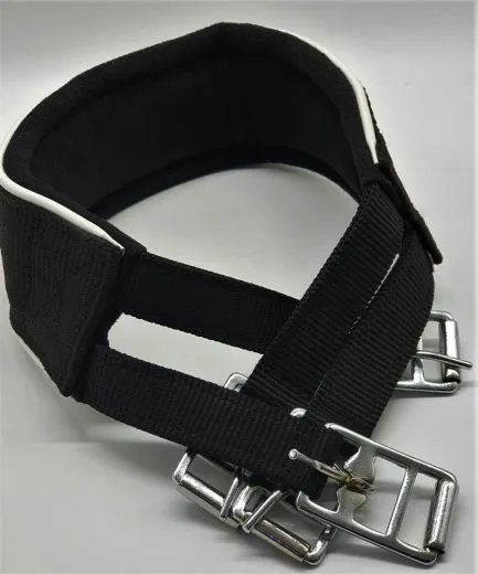 Kurzgurt Pony Shetty Web Gurt 70 75 80 cm schmal Sattelgurt Gurt Schwarz / Wei�