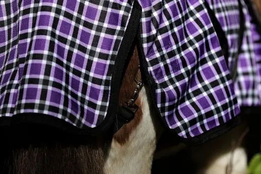 1200 Denier Outdoordecke Regendecke Fleece Futter Lila Karo NUR 65 cm REST RAUS