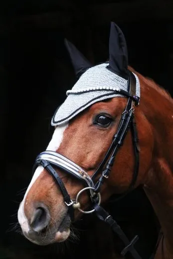 Trense SILVER Perlmutt Stirnband Silber Farben Nasenriemen metallisch + Z�gel VB WB X Full