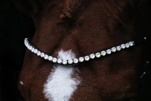 Trense SILVER Perlmutt Stirnband Silber Farben Nasenriemen metallisch + Z�gel VB WB X Full