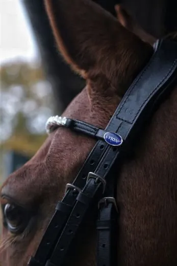 Trense SILVER Perlmutt Stirnband Silber Farben Nasenriemen metallisch + Z�gel VB WB X Full