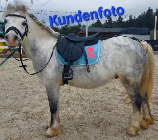 Leder Sattel JUMPER VS Schwerpunkt Springen + Kopfeisen Kindersattel Ponysattel Schwarz o Braun 14 15 Zoll ab 500�