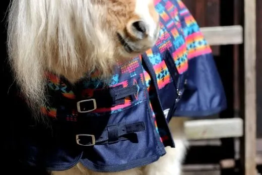 1200 Regendecke Fleece Lining Futter 0 Gramm Bunt 75 85 95 100 cm Outdoordecke