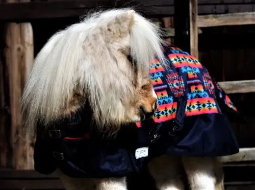 1200 Regendecke Fleece Futter 0 Gramm Bunt 75 85 95 100 cm Outdoordecke