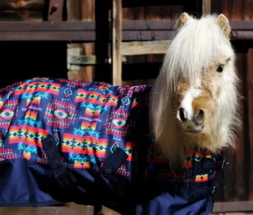 1200 Regendecke Fleece Futter 0 Gramm Bunt 75 85 95 100 cm Outdoordecke