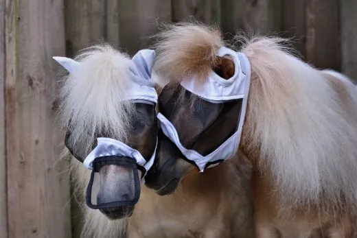Fliegenhaube + + Lissy MIT Ohr MIT Nasenschutz Gr. SHETTY Grau Schwarz Fliegen Haube Fliegenmaske