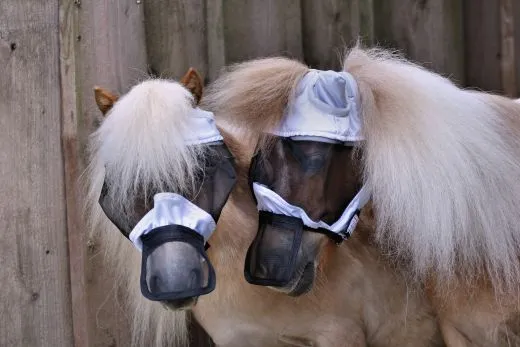 Fliegenhaube + + Lissy MIT Ohr MIT Nasenschutz Gr. Minishetty Shetty Grau Schwarz Fliegen Haube Fliegenmaske