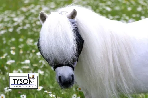 Fliegenhaube - - Lissy Ohne Ohr Ohne Nasenschutz Gr. Minishetty SHETTY Grau Schwarz Fliegen Haube Fliegenmaske