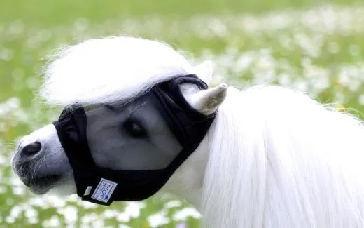 Fliegenhaube - - Lissy Ohne Ohr Ohne Nasenschutz Gr. Minishetty SHETTY Grau Schwarz Fliegen Haube Fliegenmaske