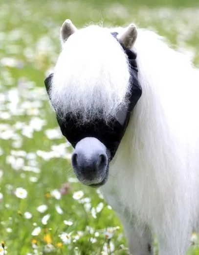 Fliegenhaube - - Lissy Ohne Ohr Ohne Nasenschutz Gr. Minishetty SHETTY Grau Schwarz Fliegen Haube Fliegenmaske
