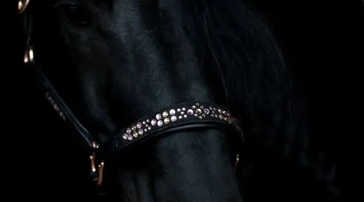 Lederhalfter German Rose Schwarz Rosegold VB WB X Full Ros� Leder Halfter Glitzerhalfter Pastell