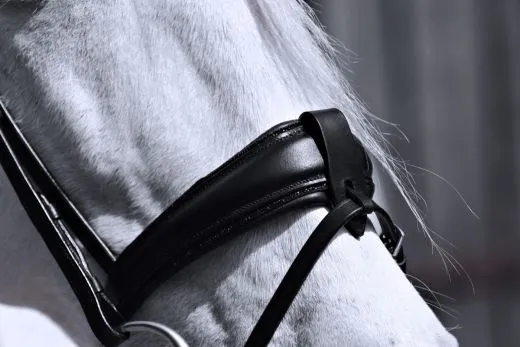 Trense CROWN Glitzer Nacken + Nasenriemen Schwarz Leder VB WB X Full Strass englisch Schwarz Sperrriemen abnehmbar