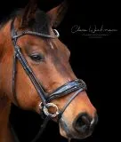 Trense Zaum BLACK SIS Lack Strass Glitzer Schwarz Glitzer Details Nasenriemen Schwedisch + gummierte Z�gel VB WB X FULL