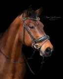 Trense Zaum BLACK SIS Lack Strass Glitzer Schwarz Glitzer Details Nasenriemen Schwedisch + gummierte Z�gel VB WB X FULL