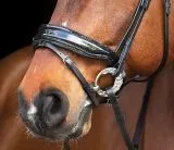 Trense Zaum BLACK SIS Lack Strass Glitzer Schwarz Glitzer Details Nasenriemen Schwedisch + gummierte Z�gel VB WB X FULL