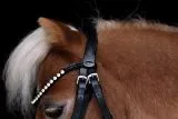 CROWN Minishetty Shetty Welsh Trense abnehmbarer Sperrriemen Englisch Leder Glitzer Genick u Nasenriemen + Z�gel