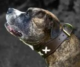 Lederhalsband LACE Zierkordel Kreuz Stick unterlegt Halsband LEDER Breit sehr stabil M L XL