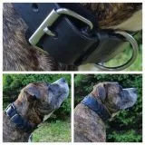 Lederhalsband Leder Schwarz Breit Hohe Zugkraft FADE Zierkordel am Rand Halsband LEDER Breit sehr stabil M L XL